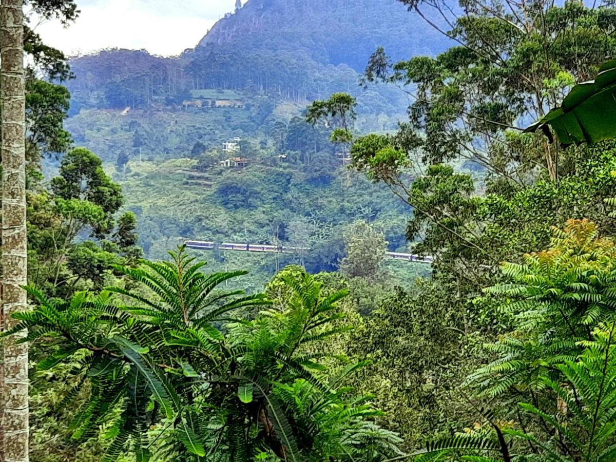 New Green View Resort 埃拉 外观 照片